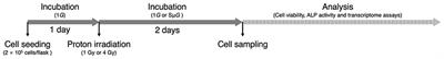 Combined Effects of Proton Radiation and Simulated Microgravity on the Cell Viability and ALP Activity of Murine Osteoblast Cells